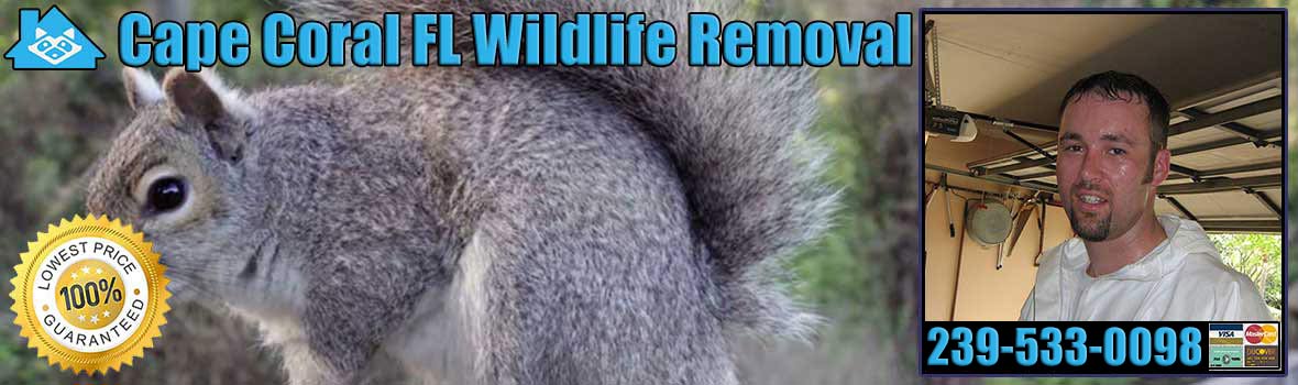 Cape Coral Wildlife and Animal Removal